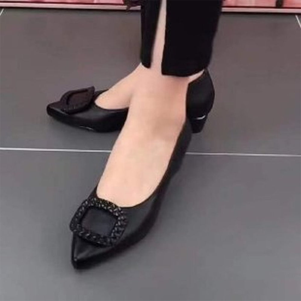 Pointed Flat Bottom Shoes