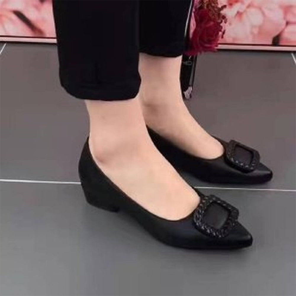 Pointed Flat Bottom Shoes